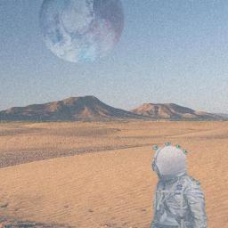 lazy gray - no place like home.jpg